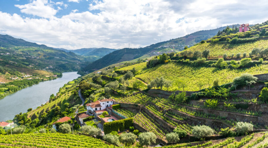 Ruta Valle del Duero